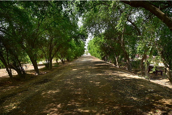 Agricultural Research Station