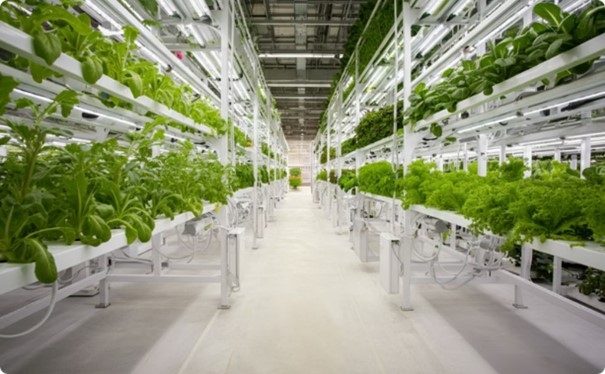 Vertical Farming